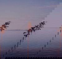 Sunset Streaming Live DJ Streams - Accommodation NSW