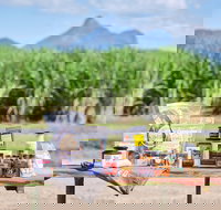 Taste Tweed - Accommodation NSW