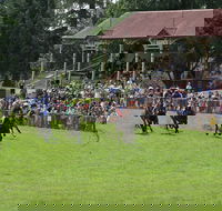 Tumut Derby Day - Accommodation NSW