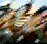 Albury Racing Club January Race Day - Accommodation NSW