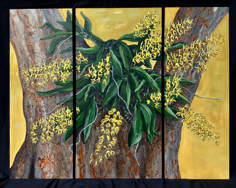 A Still Life - Solo Exhibition  Karen Sedaitis - Accommodation NSW 1