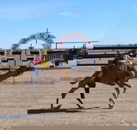 Bedourie Camel and Pig Races and Camp oven Cook-off - Accommodation NSW