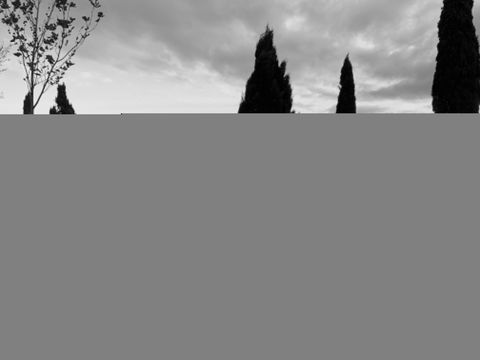 Cheese And Wine Experience - Accommodation NSW 1