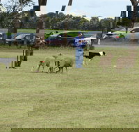 Dean Sheepdog Trials - Old Sniff Classic