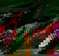 Dinomania - Postponed - Accommodation NSW