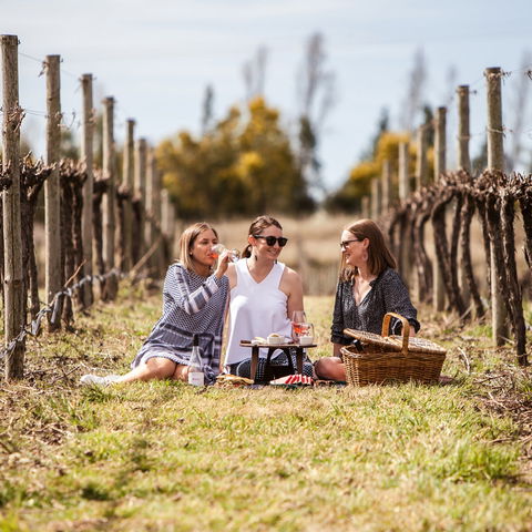 Family Picnic Weekend - Accommodation NSW 0