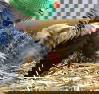 Horsham Agricultural Show - Accommodation NSW