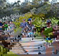 Husky Half Running Festival - Accommodation NSW