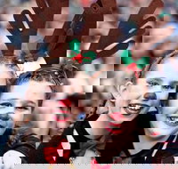 Mount Druitt Christmas Light Up Concert - Accommodation NSW