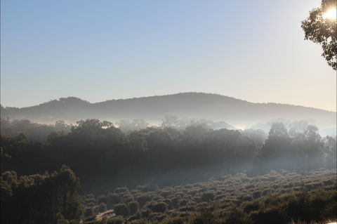 Mudgeeque - Accommodation NSW 0
