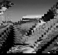 Music in the Gardens - Mitch King - Accommodation NSW