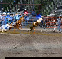 North Queensland Elite Rodeo - Accommodation NSW