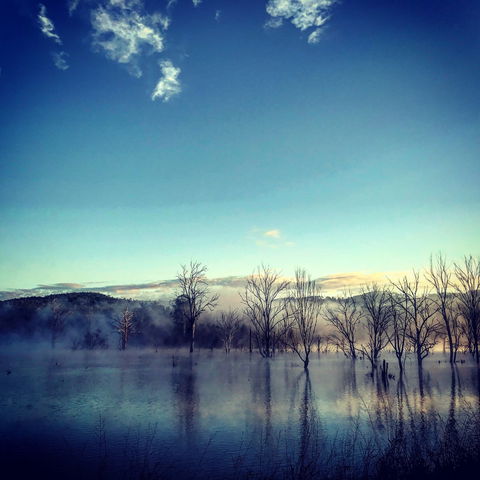 Scenic Rim Ultra - Accommodation NSW 0