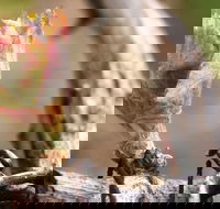 Spring Seasonal Lunch - Accommodation NSW