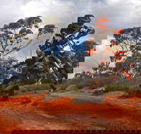 Sunraysia Safari Rally - Accommodation NSW