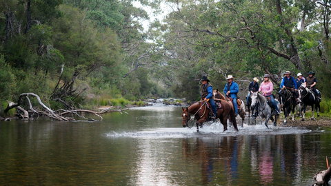 The Man From Snowy River Bush Festival - Accommodation NSW 0