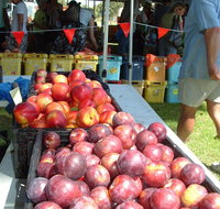 The Farmers Market on Manning - Accommodation NSW