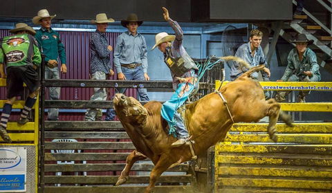 Top Gun And Young Gun Series Round 9 - Accommodation NSW 0