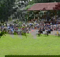 Tumut Boxing Day Races - Accommodation NSW