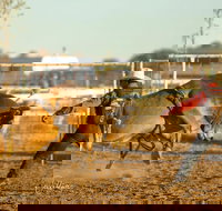 Walgett Charity Bushman's Carnival Rodeo and Campdraft