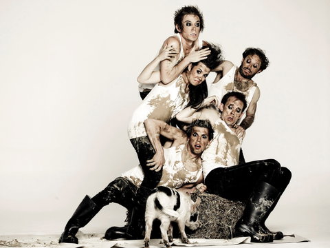 Animal Farm - Launceston - Accommodation NSW 0