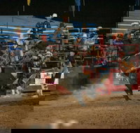 Black Opal Bull and Bronc Ride - Accommodation NSW