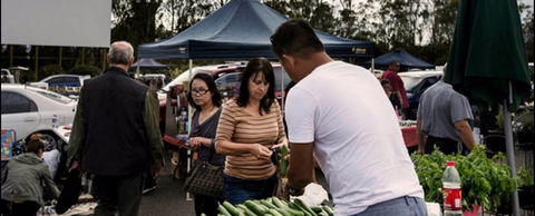Blacktown Markets - Accommodation NSW 0