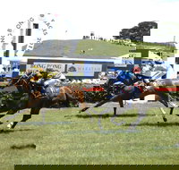 Bong Bong Picnic Races - Accommodation NSW