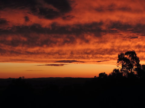 Father's Day At Cottontail Wines - Accommodation NSW 0