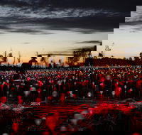 Field of Light Uluru - Accommodation NSW