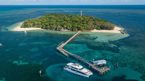 Great Adventures Green Island Ocean Swim - Accommodation NSW 0