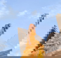 Great Opera Hits at the Sydney Opera House - Accommodation NSW