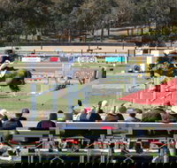 JumpingWillinga - Accommodation NSW