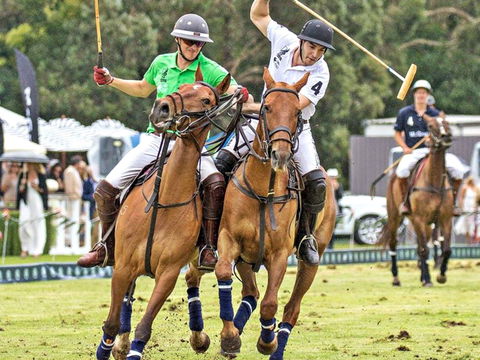 Land Rover Polo In The City - Accommodation NSW 0