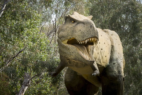 Lost Sanctuary At Healesville Sanctuary - Accommodation NSW 2