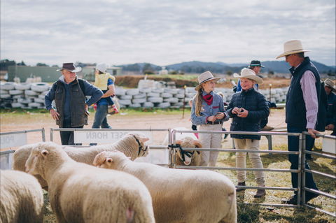 Mudgee Small Farm Field Days - Accommodation NSW 0