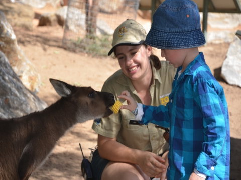 Mums And Cubs! And Dads Too! - Accommodation NSW 0