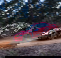 Narooma Forest Rally - Accommodation NSW