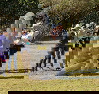 Sculpture for Clyde - Outdoor Exhibition - Accommodation NSW