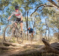 Shimano Mountain Bike Grand Prix  Logan - Accommodation NSW