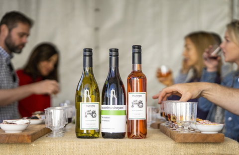 Southern Highlands Food And Wine Festival - Accommodation NSW 2