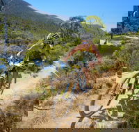 TreX Cross Triathlon Series  Snowy Mountains - Accommodation NSW