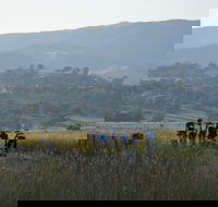 Tumut Cycle Classic - Accommodation NSW