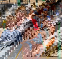 Willans Hill Miniature Railway Rides Open Days - Accommodation NSW