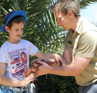Zoocation at the National Zoo  Aquarium - Accommodation NSW