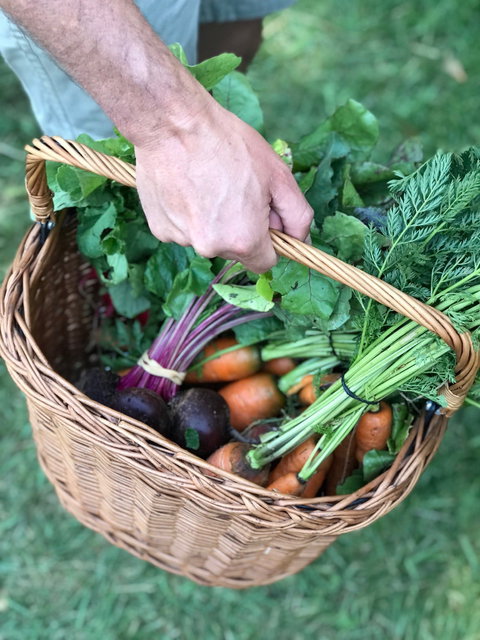 Orange Farmers Market - Accommodation NSW 0