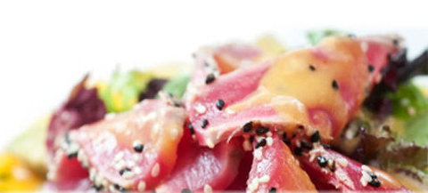 Sushi Yachiyo - Accommodation NSW 0