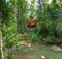 The Canopy Rainforest Treehouses and Wildlife Sanctuary - Accommodation NSW