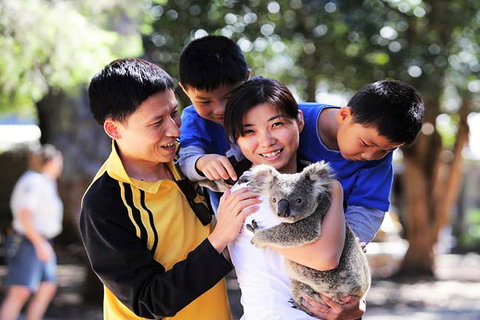 Sand Castles On Currumbin Beach - Accommodation NSW 4