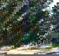 Byron Bay Rainforest Resort - Accommodation NSW